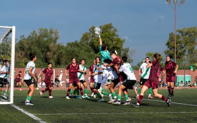 TORNEO APERTURA: BANFIELD EL ÚNICO PUNTERO AL TÉRMINO DE LA CUARTA FECHA
