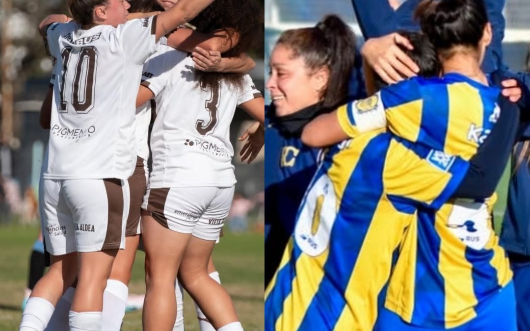 PRIMERA B: PLATENSE Y ROSARIO CENTRAL ASCENDIERON A PRIMERA DIVISIÓN 